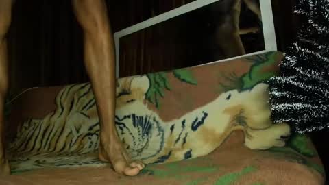 D.C online show from November 8, 8:12 pm