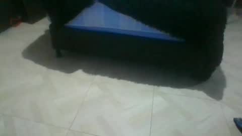 demon666dick online show from February 15, 5:13 am