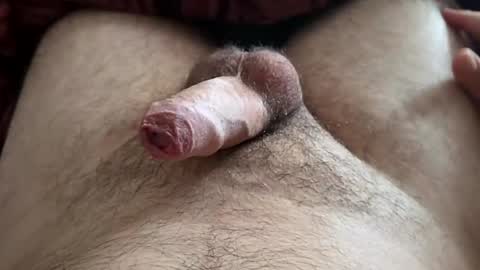 LilRoach online show from November 9, 2:10 pm