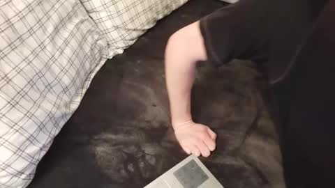 DenverCumKing online show from February 2, 6:56 am