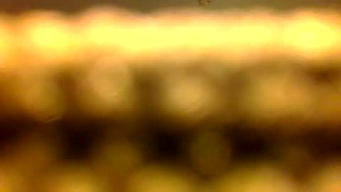 Marcus D-von Steel online show from April 11, 10:41 am