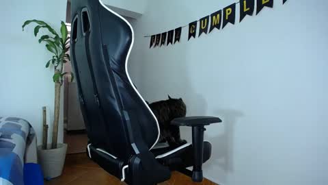 MaSSimo online show from December 28, 7:54 pm