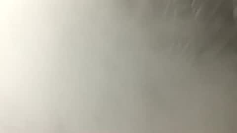 dickink13 online show from July 6, 3:47 am