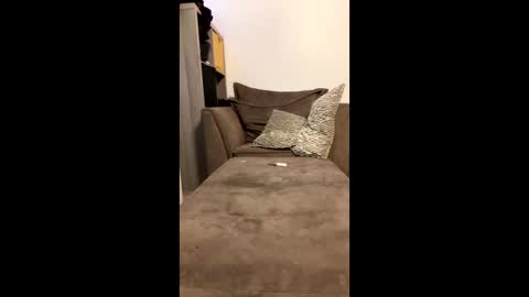 dickparceldick online show from May 7, 10:54 pm
