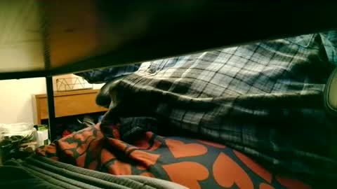 Steve online show from March 17, 4:09 pm