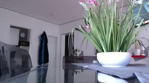 squirtcock online show from December 7, 2:02 pm