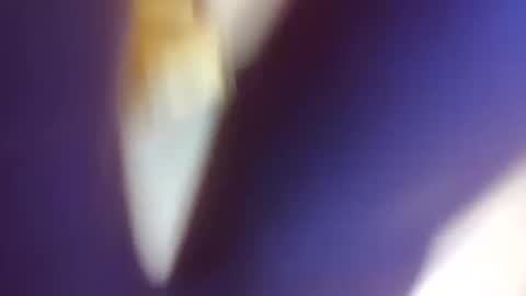 DIPSTIK online show from September 21, 7:08 am