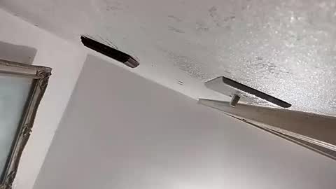 dixonbird41 online show from February 11, 2:46 am