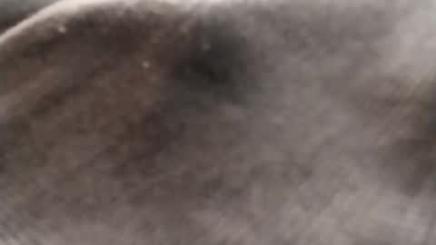 dlov3 online show from February 8, 10:14 pm