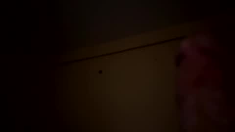 dnice69968127 online show from February 6, 7:35 am