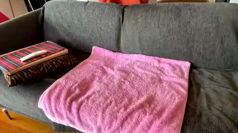 Alfredo online show from April 6, 9:21 am