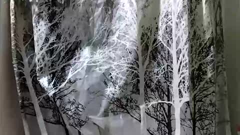 donschlongs online show from December 28, 7:01 pm