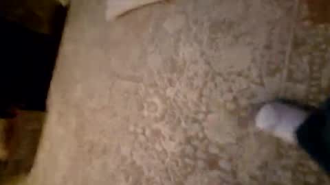 Snapshot of dooder77 chatting on December 27, 2:58 am Dooder77 online show from December 27, 2:58 am