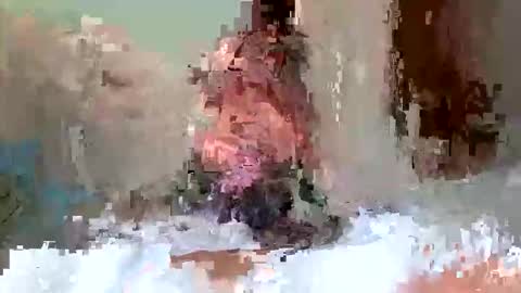 doverlover7 online show from November 14, 2:51 pm