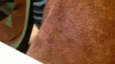 dunany101 online show from December 30, 1:04 am