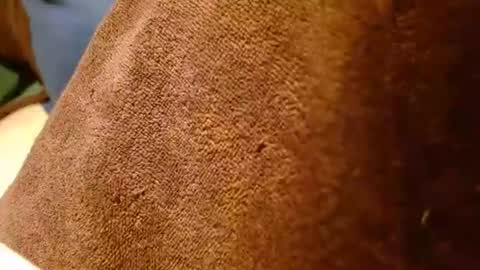 dunany101 online show from January 28, 12:57 am