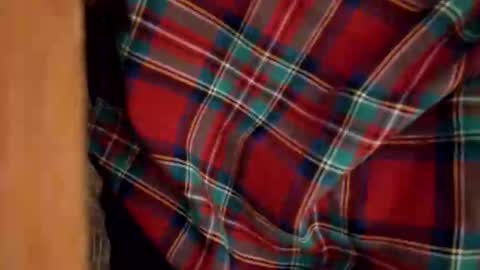 dVe1oPe online show from December 28, 8:37 am