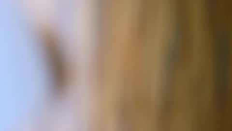 dVe1oPe online show from October 17, 9:57 am