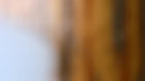 dVe1oPe online show from October 14, 9:16 am