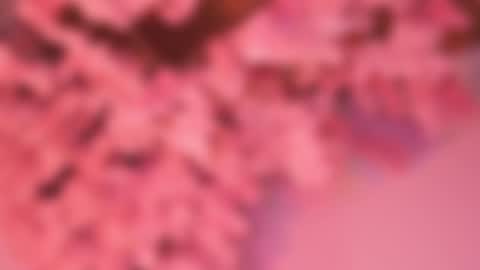 Dwayne xx online show from March 7, 7:22 pm