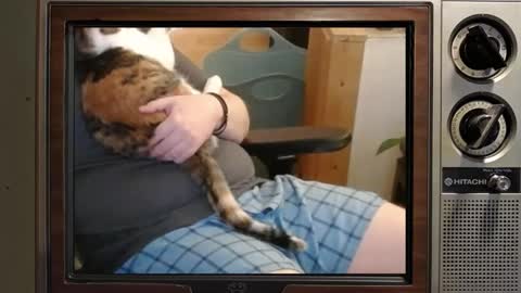 e8849c online show from October 13, 4:40 am