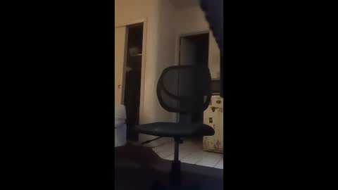 eatallorgasms online show from January 11, 9:24 am