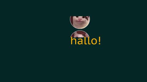 Vaco Eblidator online show from December 29, 8:33 am