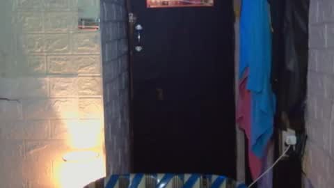 urasian chub online show from October 22, 8:56 pm