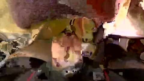 ehdgher online show from December 2, 9:01 am