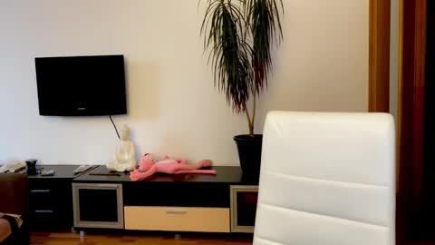 Eitan online show from February 17, 12:48 pm