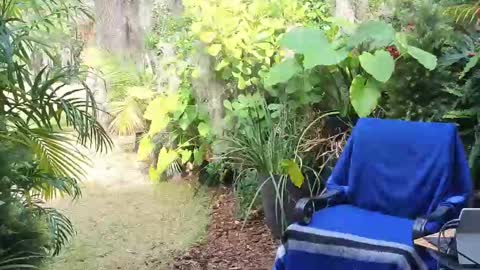 Snapshot of eliberator chatting on January 18, 7:58 pm eliberator online show from January 18, 7:58 pm