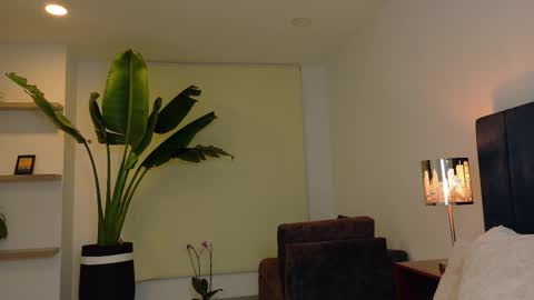 Joan online show from November 12, 6:30 am