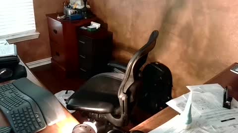 exhibitman69_ldb online show from September 25, 10:52 pm