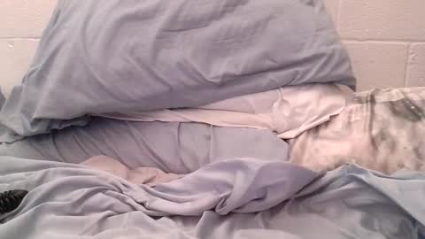 ez37going88 online show from April 21, 2:12 pm