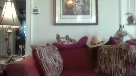 fairmount31 online show from October 2, 12:20 pm