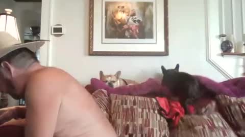 fairmount31 online show from September 16, 1:12 pm