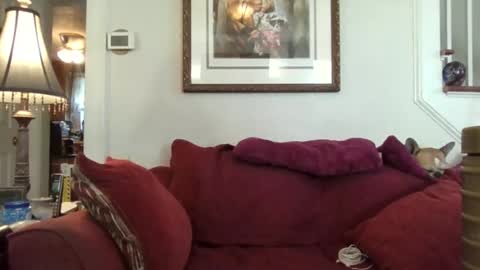 fairmount31 online show from October 21, 1:58 pm