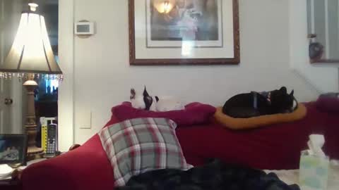 fairmount31 online show from December 14, 1:29 pm