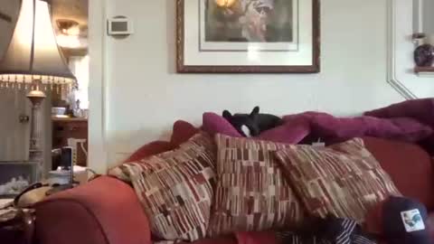 fairmount31 online show from September 17, 1:23 pm