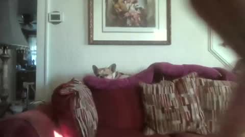 fairmount31 online show from October 3, 12:21 pm