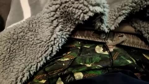 fapforfuckingfun online show from February 2, 8:19 pm