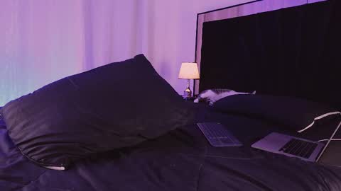 farid_jake_ online show from October 7, 12:04 am