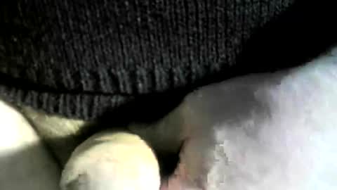 felicaste online show from March 6, 7:54 pm