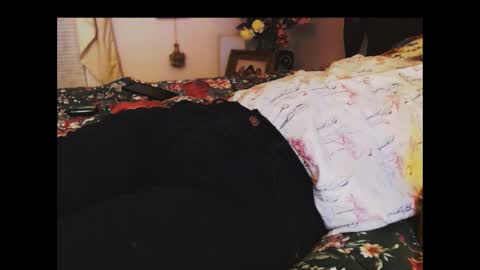 ferra_testarossa online show from November 24, 2:34 am