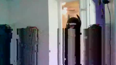 fetishsearch1abdl online show from November 8, 5:21 am