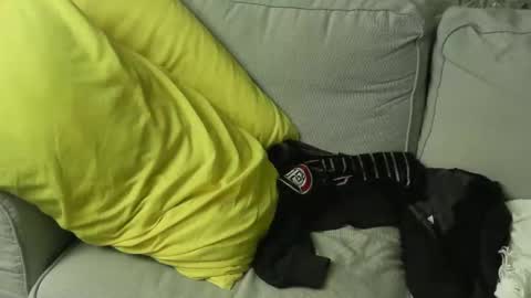 Fid online show from October 19, 8:12 pm