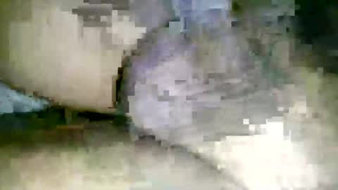 filedbc2024 online show from February 13, 9:53 pm