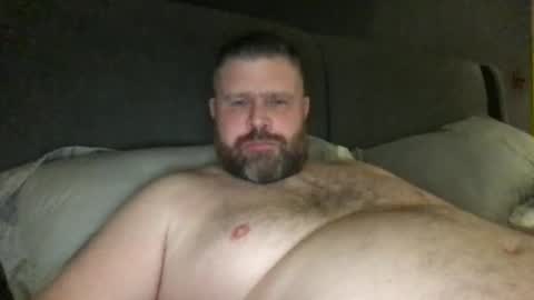 fin bear dom online show from November 23, 2:00 am