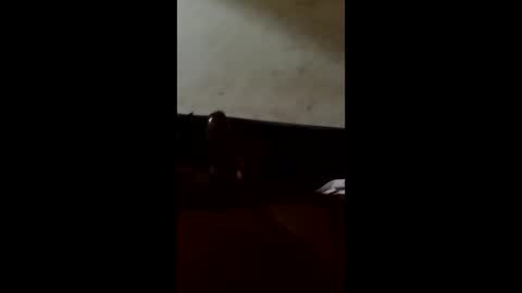 fjsexyvibes online show from March 15, 1:57 am