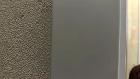 flikyy online show from January 16, 12:24 am